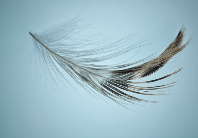 assicurare i prezzi dell'energia